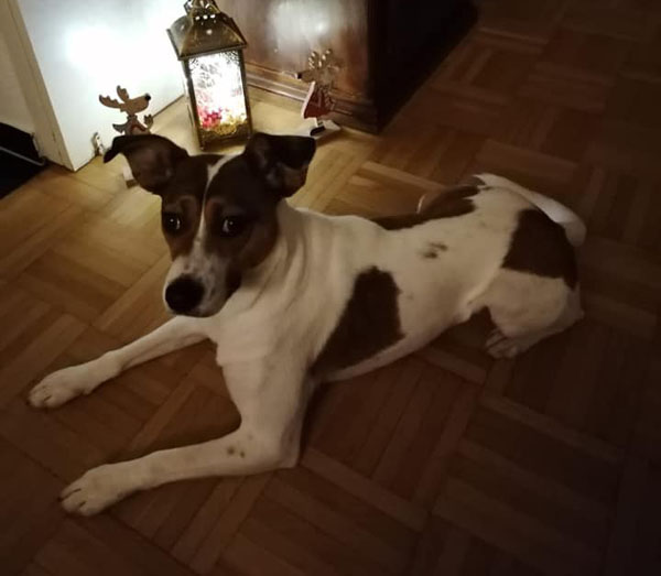 LucyLujza02