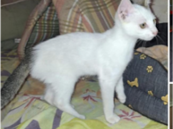Billy