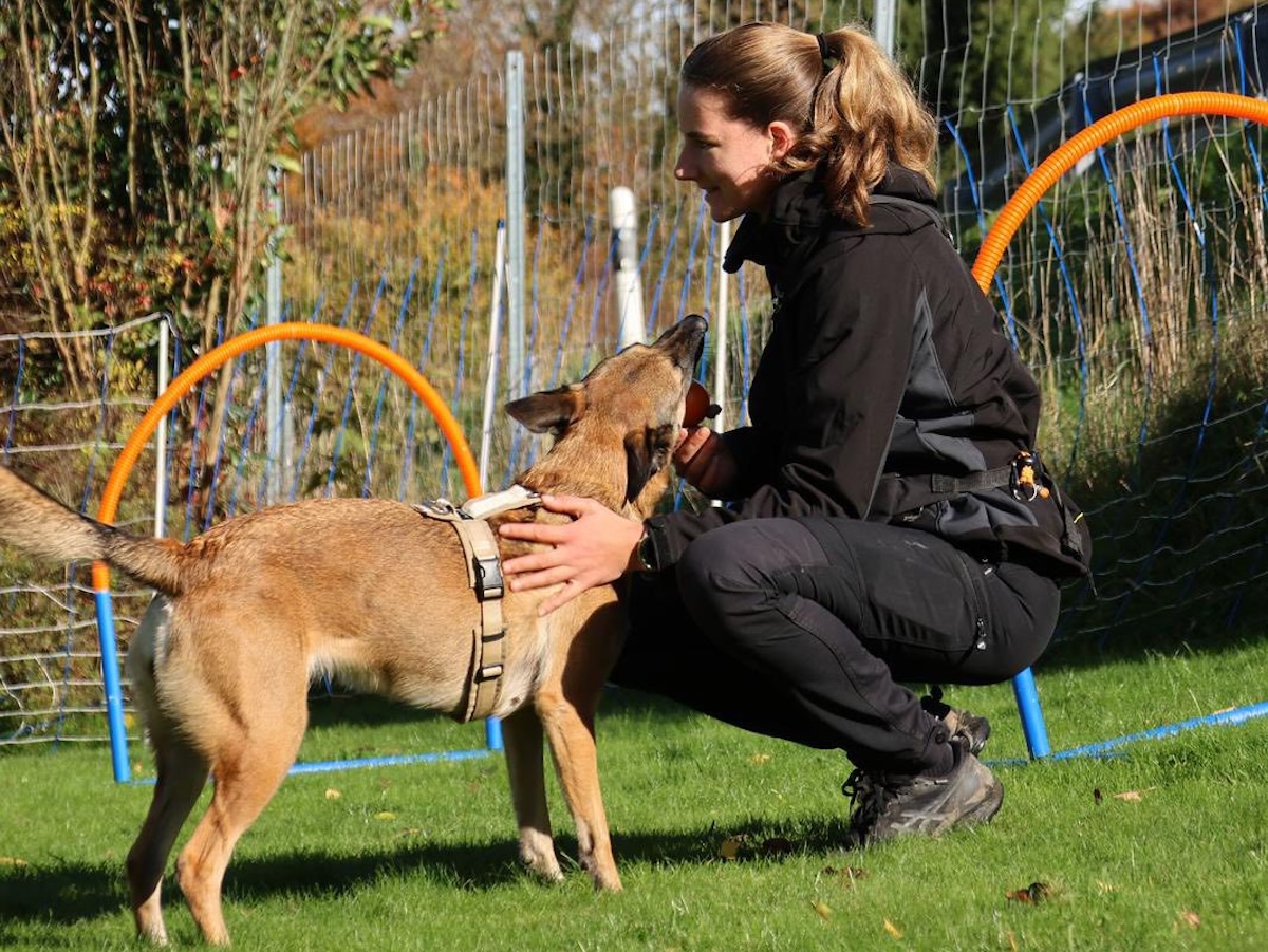 Status: Social Walk mit Herz - ein tolles Angebot für unsere Adoptanten