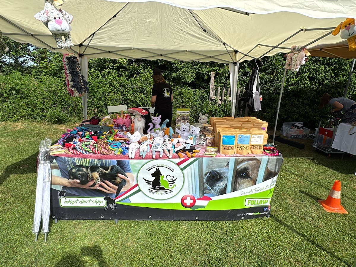 Status: Summerpawty Winterthur 31. Mai 2026