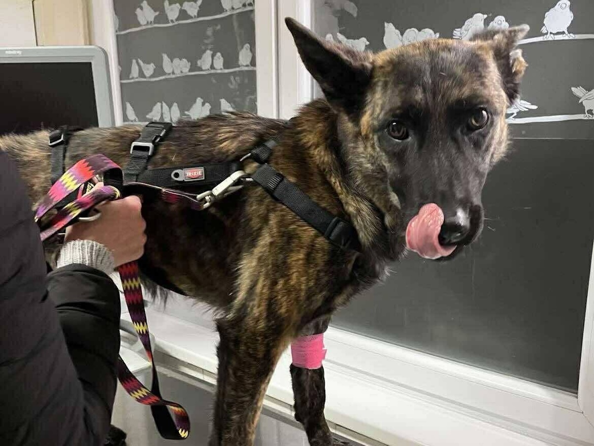 Alleine am Autobahnrastplatz