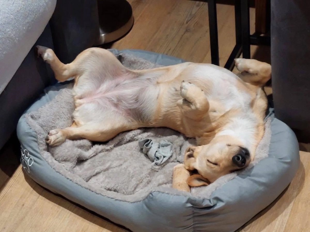 Status: Unsere Happy-Ends ❤️