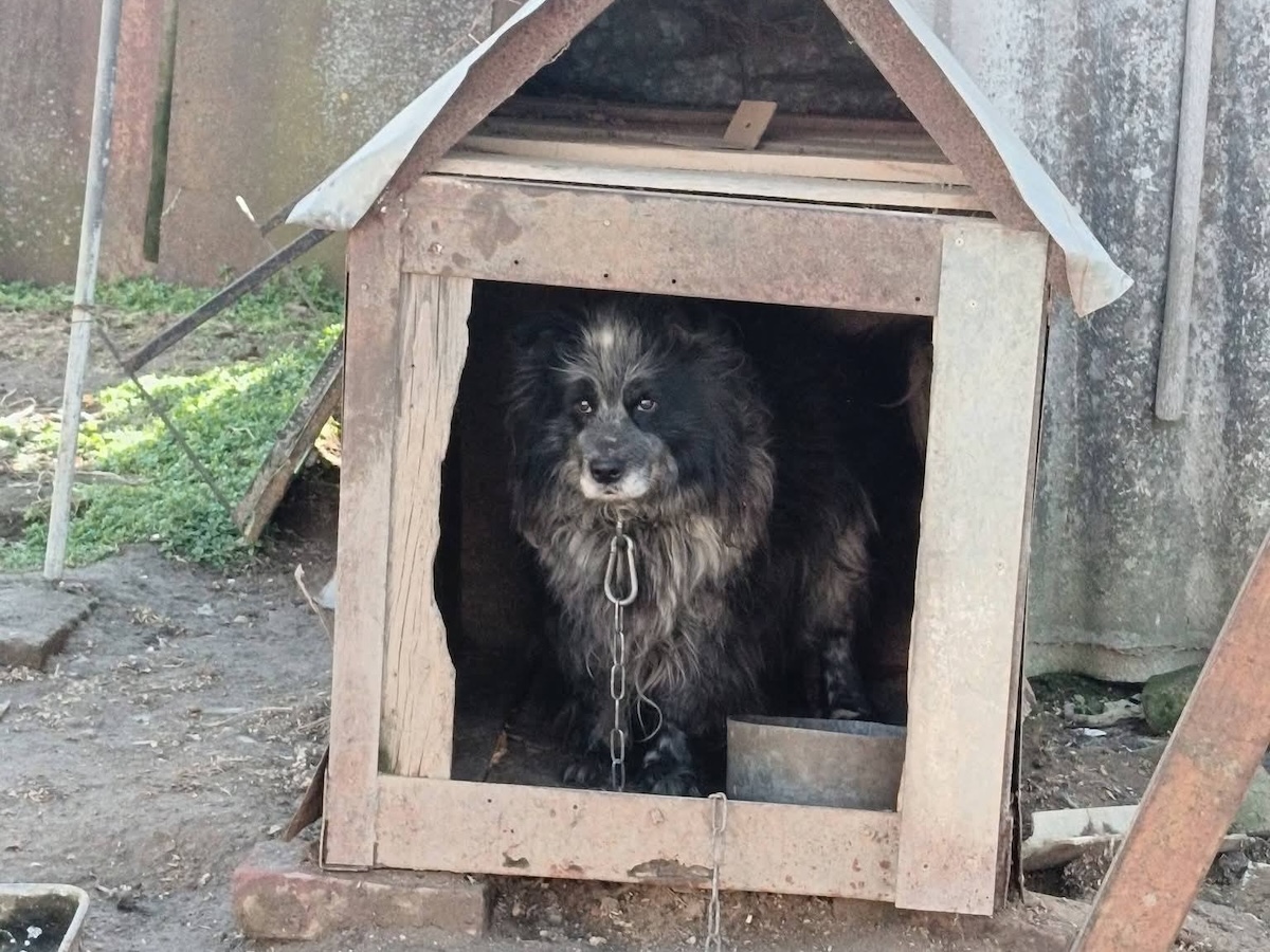 Status: Der Anfang eines neuen Kapitels