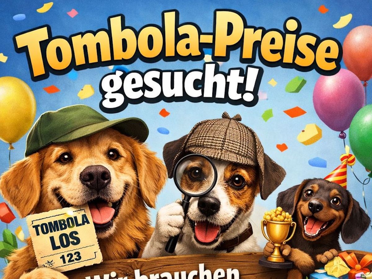 Status: TOMBOLA-PREISE GESUCHT! 