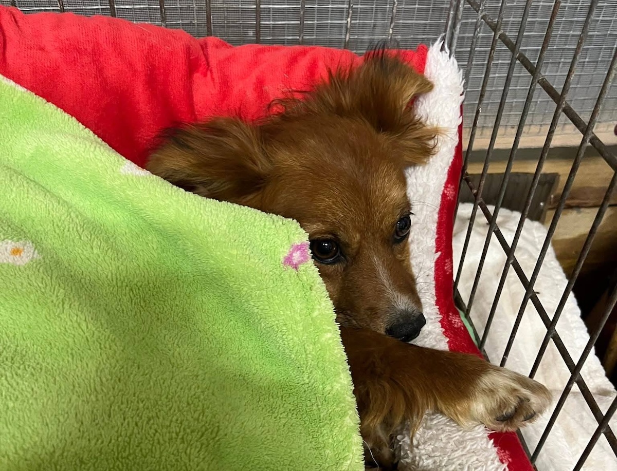 Status: Fahrerflucht!