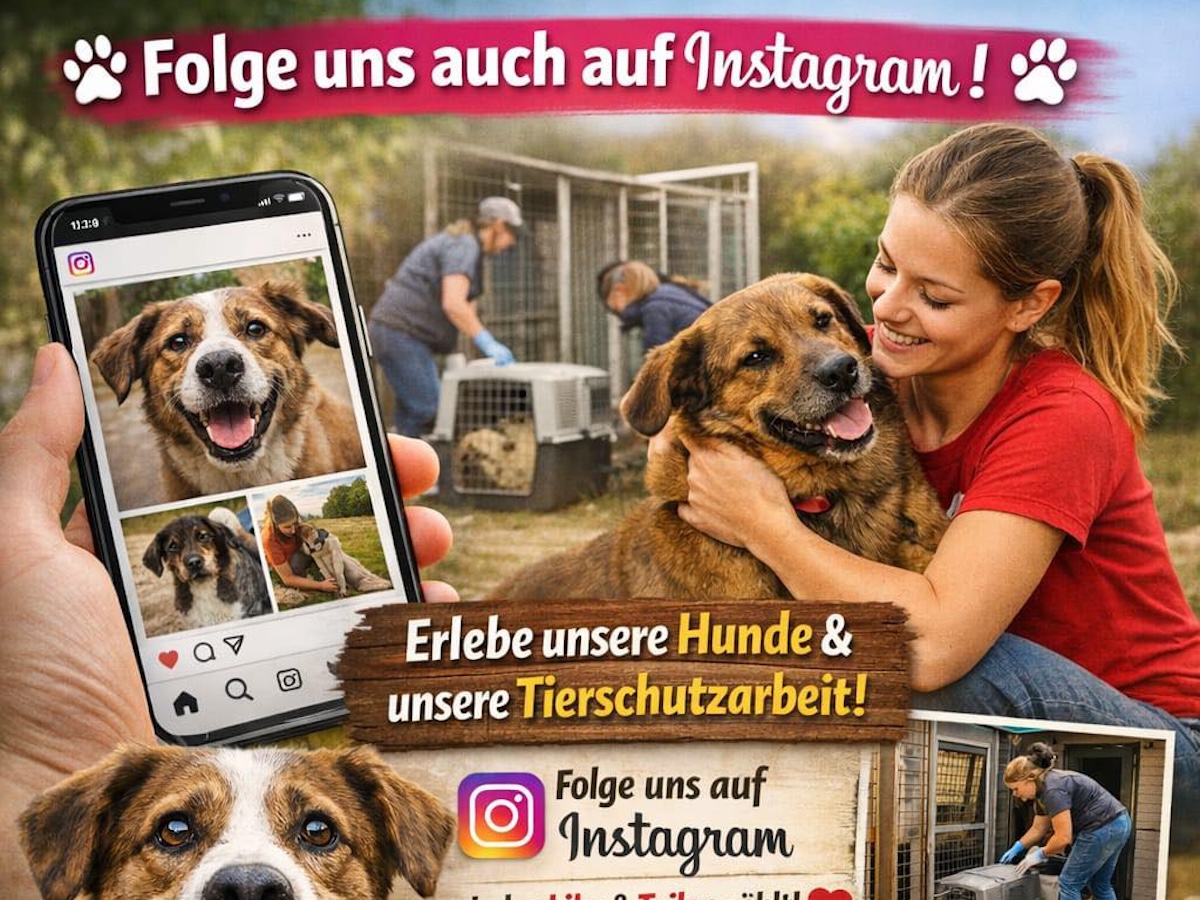 Status: Folge uns auch auf Instagram! 