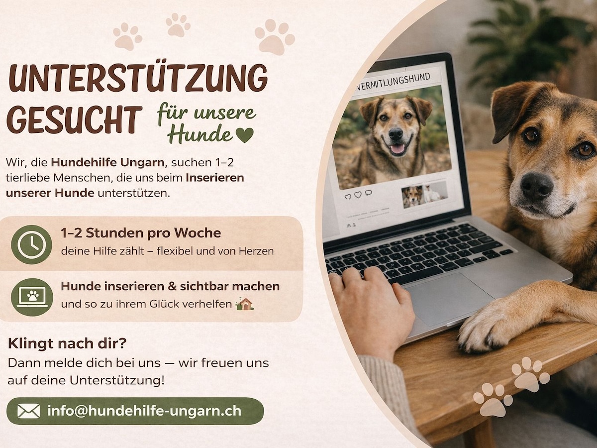 Status: Unterstützung gesucht!