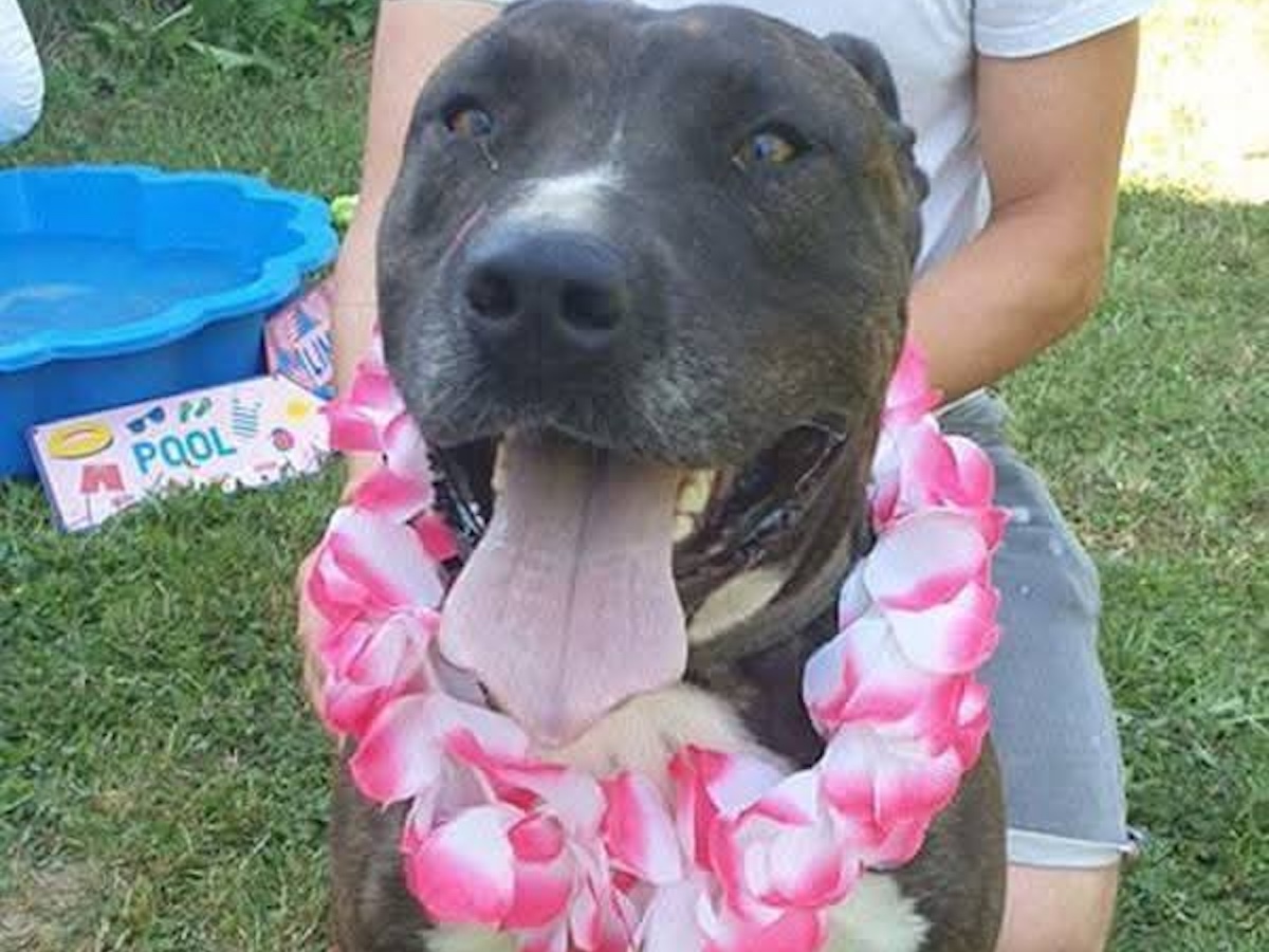 Status: Gute Reise....Carlo