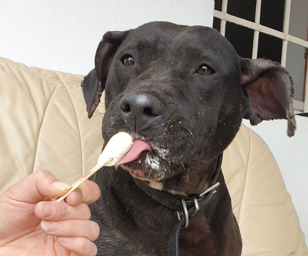 Leila ♀