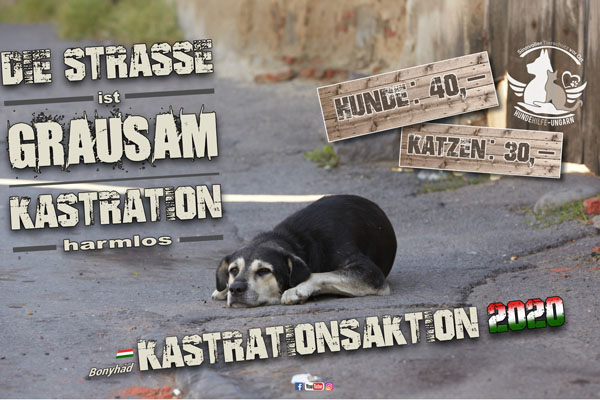 Aktionen