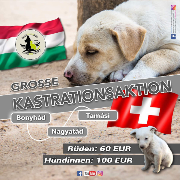 Kastra2022Beitrag