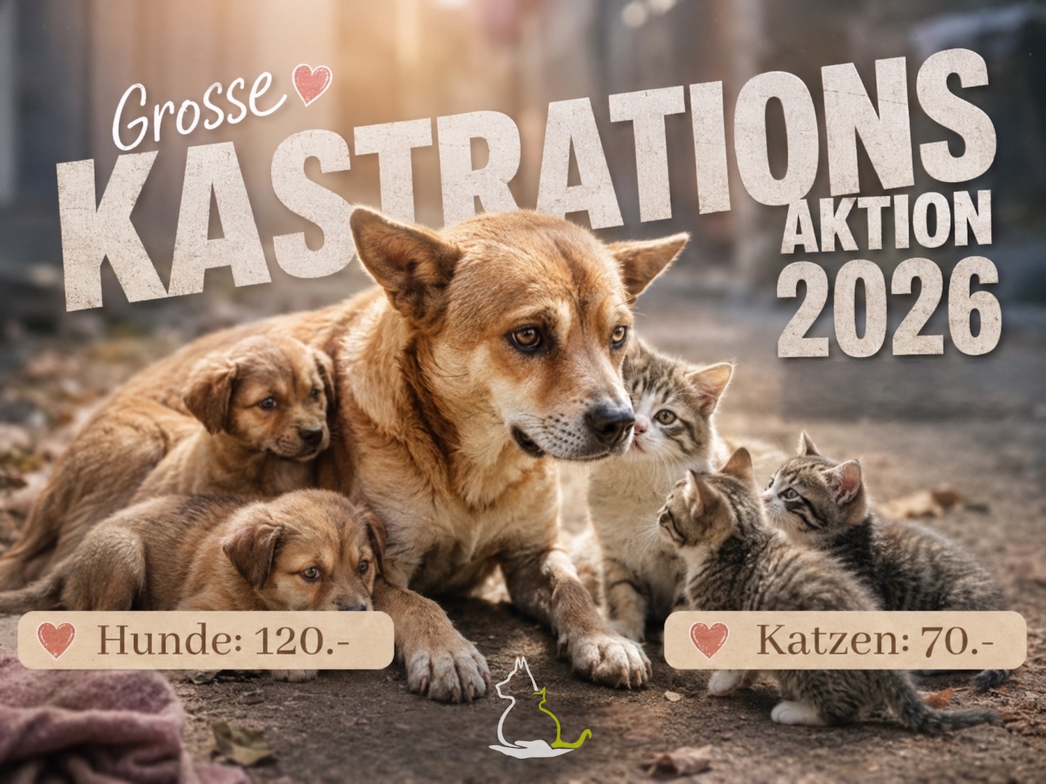 Aktionen