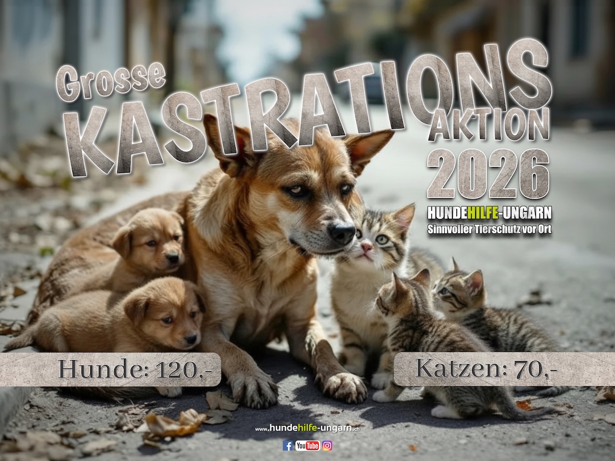 Kastrationsaktion 2026 C