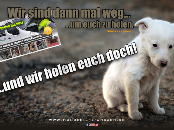 Status: März 2019 / 2. Fahrt