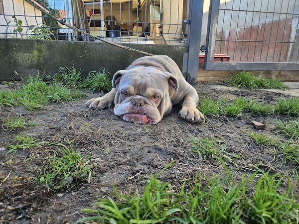 Status: 13.-18. März 2024