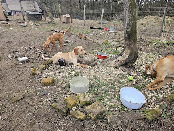 Status: 13.-17. September 2024