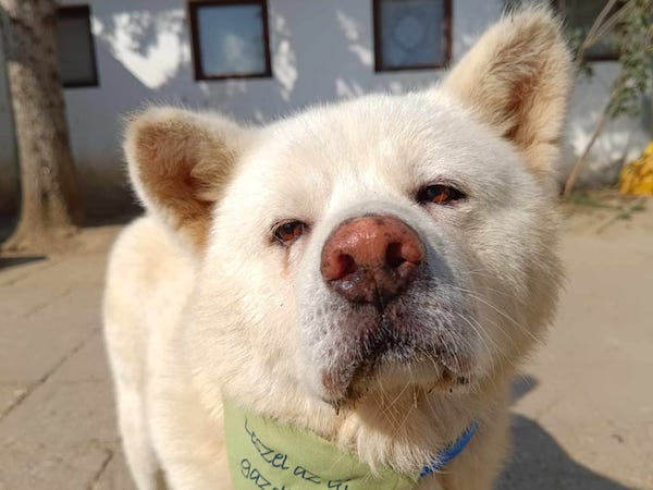 Status: 27.-31. März 2025