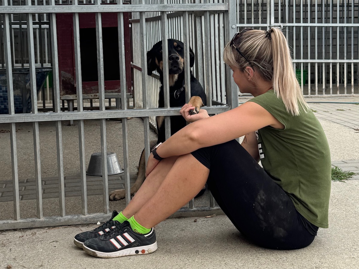 Status: 15.-18. September 2025