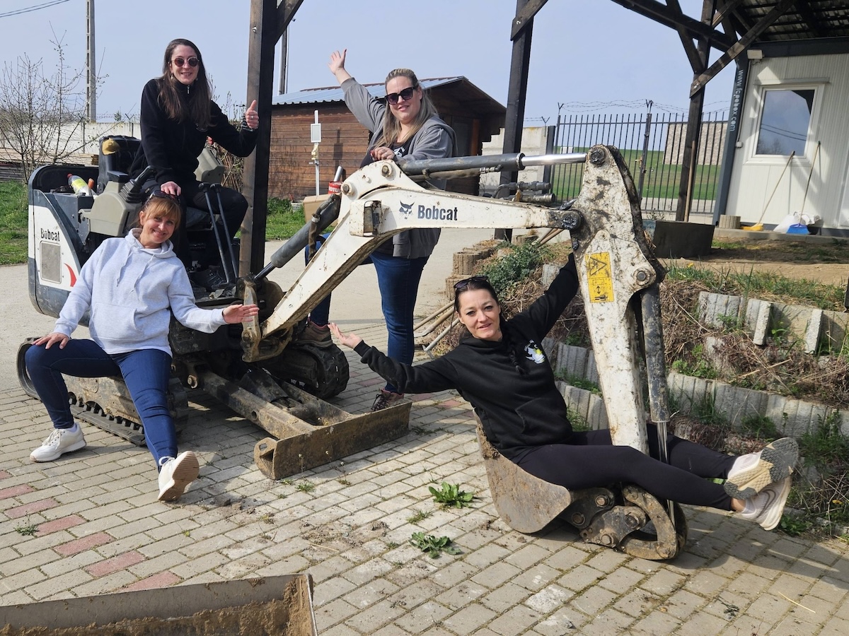 Status: 22.- 30. März  2026