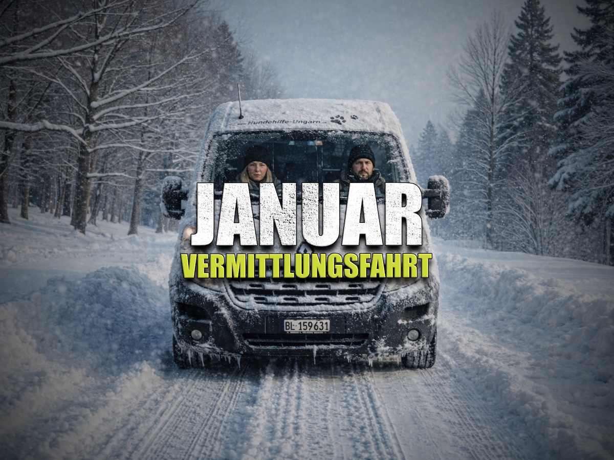 Status: 18. Januar 2027