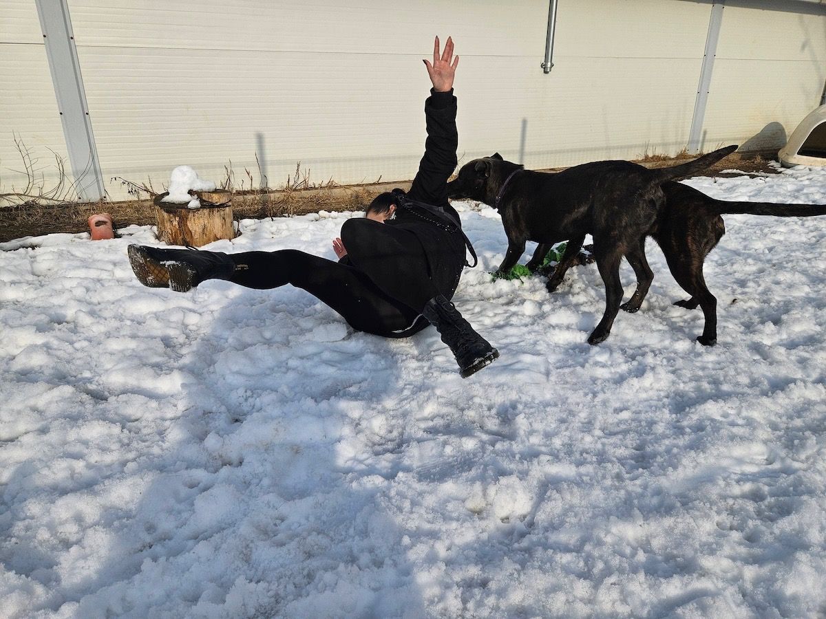 Status: 15.- 19. Januar 2026