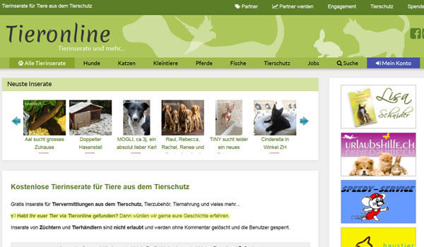 Tieronline