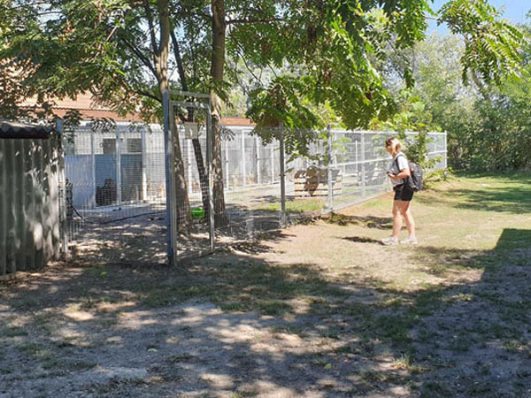 Tierheim Szeged, Projekt abgeschlossen