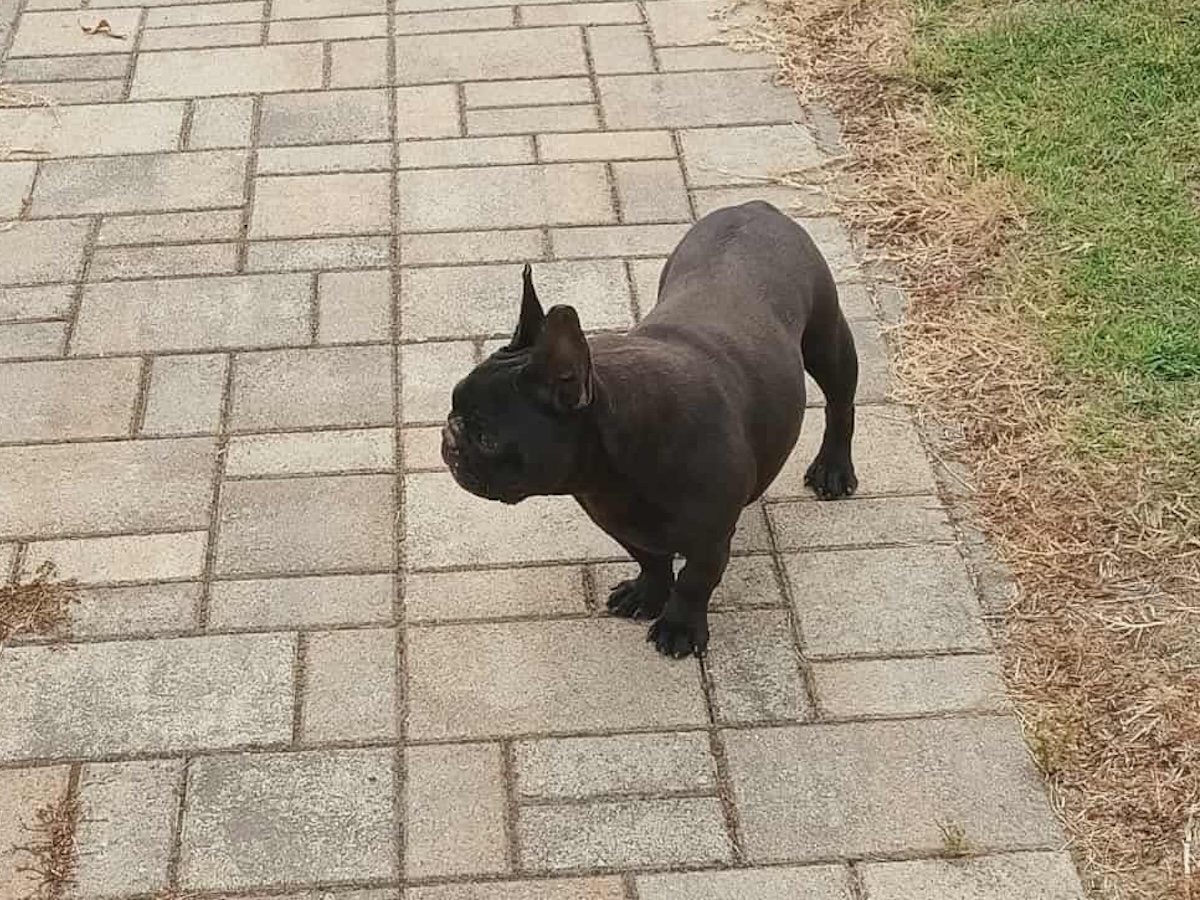Missy01