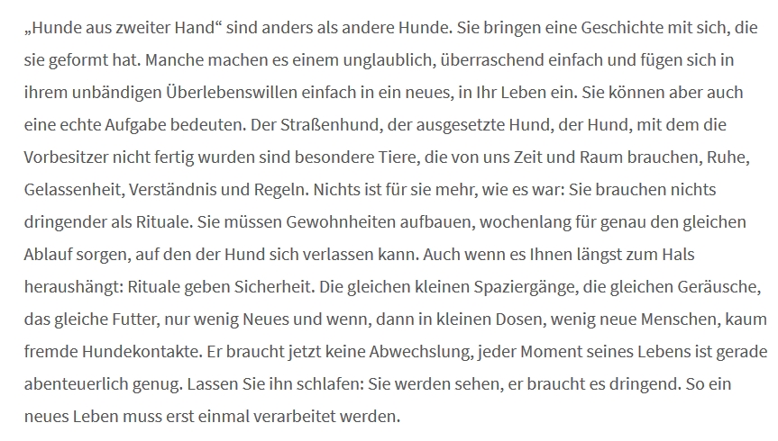 HundeAusZweiterHand