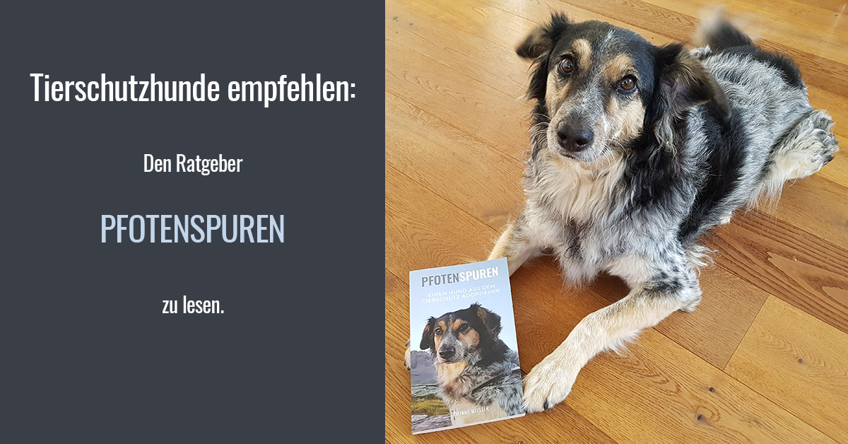 Pfotenspuren1