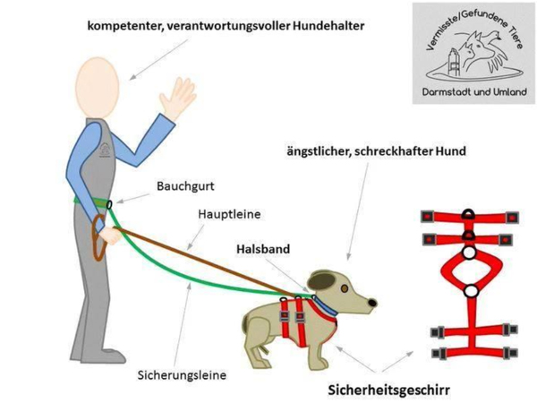 Sicherheitsgeschirr