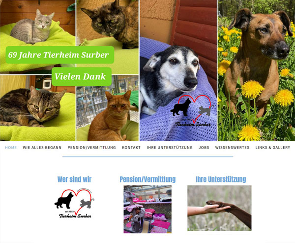 Tierheim Surber