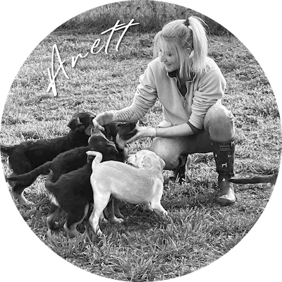 Anett