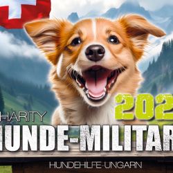 2025 08 24 2025 08 24