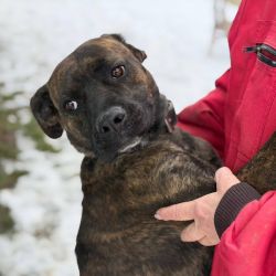 hilfsfahrt 2026 01 19