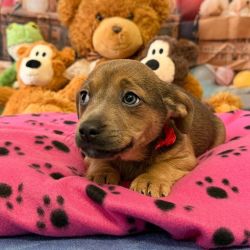 hilfsfahrt 2026 01 19