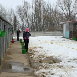 hilfsfahrt 2026 01 19