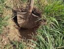 hilfsfahrten 2026 03 23