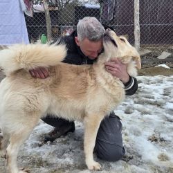 hilfsfahrt 2026 01 19