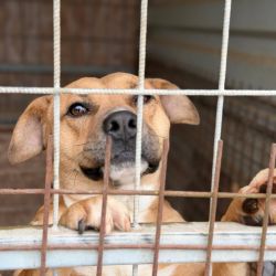 hilfsfahrt 2026 01 19