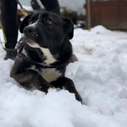 hilfsfahrt 2026 01 19