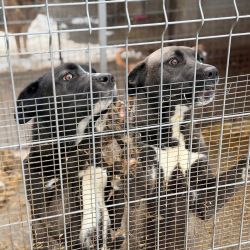 hilfsfahrt 2026 01 19