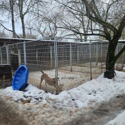 hilfsfahrt 2026 01 19