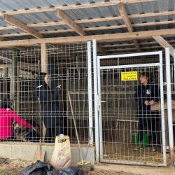 hilfsfahrt 2026 01 19