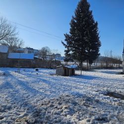 hilfsfahrt 2026 01 19