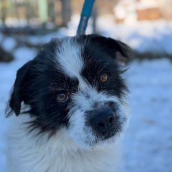 hilfsfahrt 2026 01 19