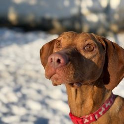 hilfsfahrt 2026 01 19