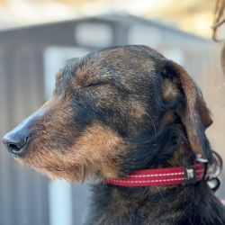 hilfsfahrt 2026 01 19