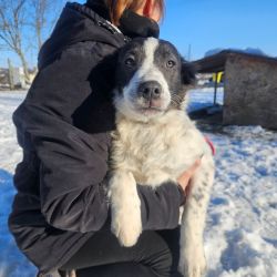 hilfsfahrt 2026 01 19