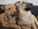 hilfsfahrten 2026 03 26